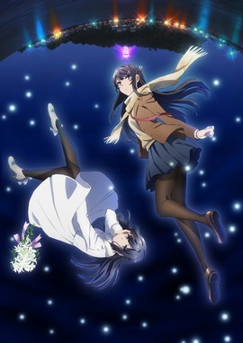 青春猪头少年不会梦到怀梦美少女
